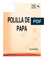 MIP Polilla (L Crespo)