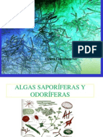 Algas y Cianobacterias PDF