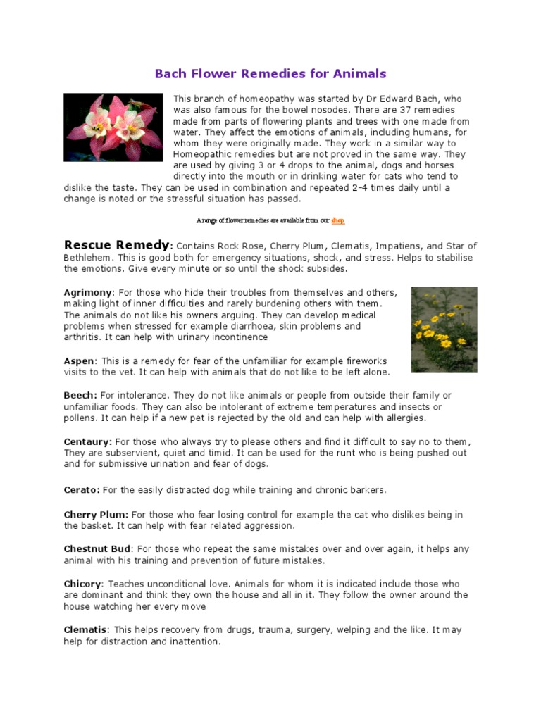Bach Flower Remedies For Animals | PDF | Bach Flower Remedies | Wellness