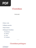 Download Clostridium by drparachuru SN168378771 doc pdf