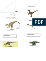 Oviraptor Deinonychus