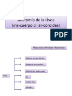 Anatomía de La Úvea