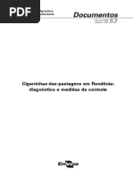 Cigarrinhas-das-pastagens em Rondônia