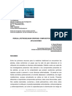 Perejil Compuestos Quimicos Aplicaciones