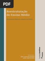Reestruturacao Miolo Final