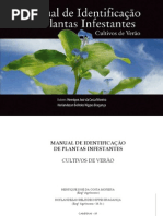 Identificação de Plantas infestantes Cultivos de Verão