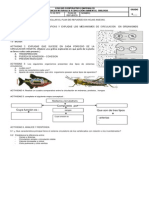 167913697 Plan de Refuerzo III Periodo Sexto