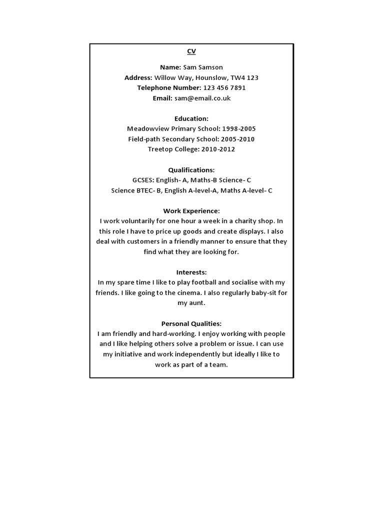 Sam Samson's CV: Skills & Experience | PDF