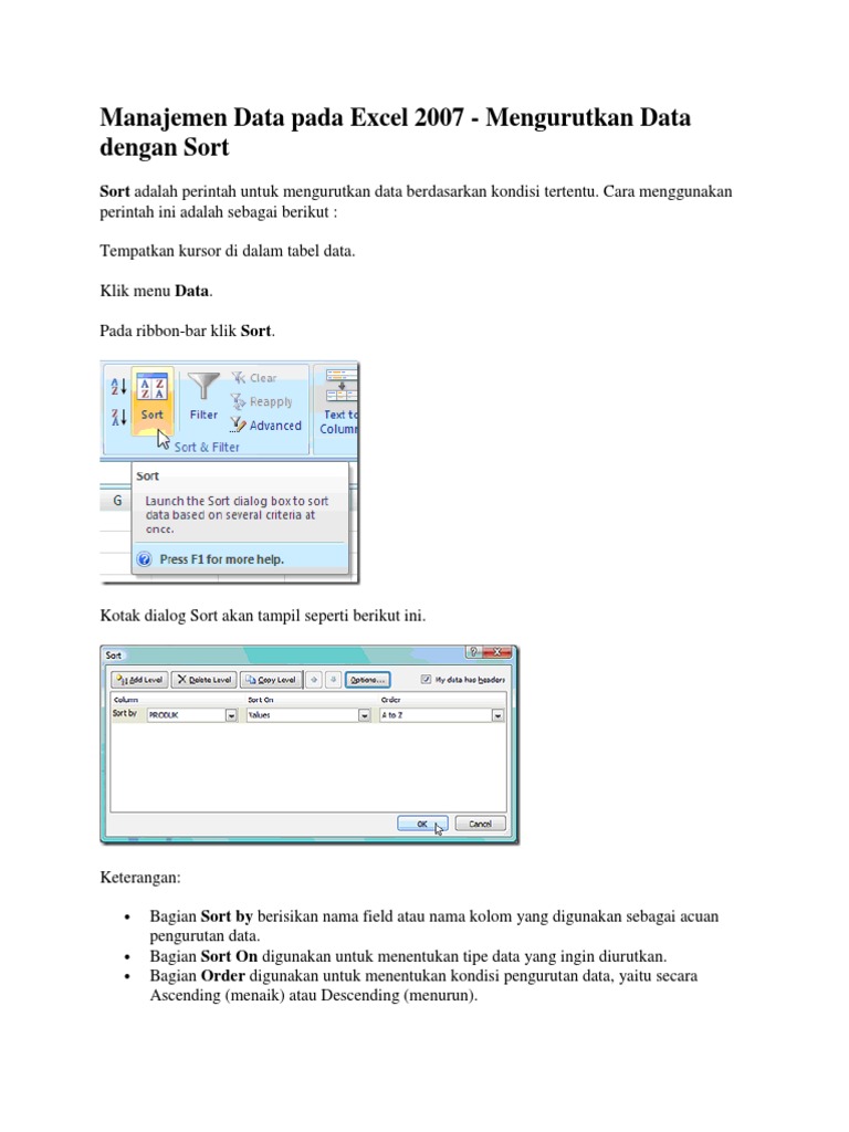 Manajemen Data Sort Pada Excel 2007 | PDF