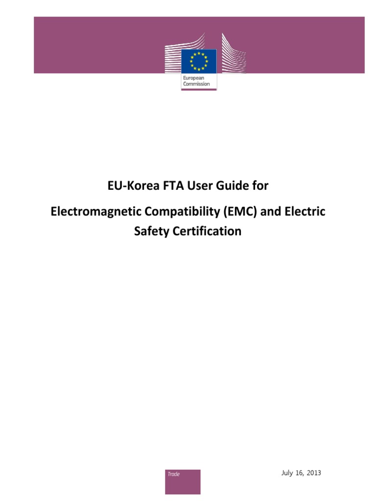 Self Declaration Process For Household Goods | PDF | Electromagnetic ...