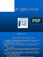 Microsoft Office Word Ilinca