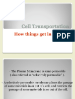 Cell Transport