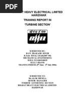 59228227 Ravi Bhel Report