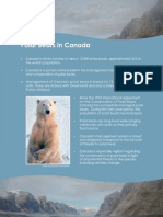 Polar Bears in Canada Nunavut Study