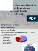 Aula 01 - Transporte Na Membrana Plasmática Potencial de Membrana e Ação Sinapses