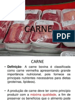 78429552-Slides-de-Carne-2003