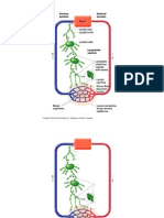 EHAP8 Images Tables 12