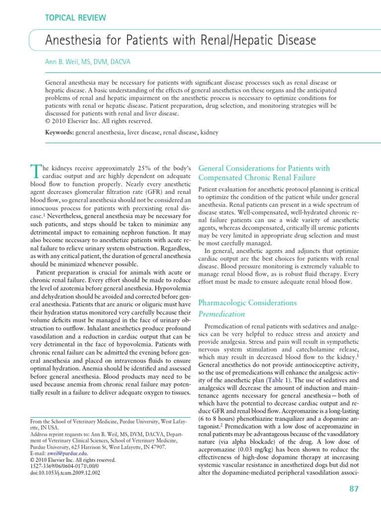 Anesthesia for Patients With Acute Renal Failure Anesthesia Kidney