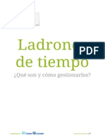 Ladrones de Tiempo (Libro)