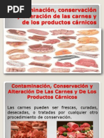 Microbiología de la Carne y Patógenos | PDF | Carne | Las bacterias