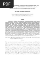 Download BIOAKTIVITAS EKSTRAK Agerathum conyzoideszpdf by Rhonda Watkins SN168750706 doc pdf