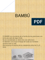 104539571-BAMBU.pdf