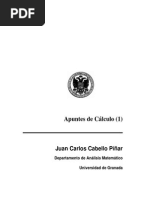 Calculo 1 Infomatica