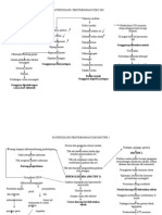 Diabetes Melitus