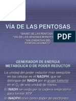 Via de Las Pentosas