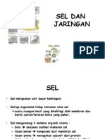 12 Sel Dan Jaringan