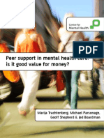 01 Shepherd - Peer Support Value for Money 2013
