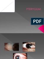 PTERYGIUM