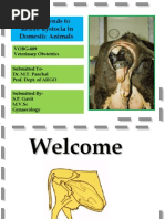 Download Treatment of Dystocia Dr SPgaviT by sanjay gavit SN16886140 doc pdf