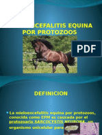 Mieloencefalitis Equina Por Protozoos