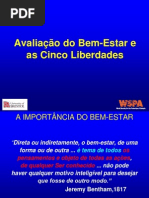 2a aula avaliação do BEA e 5 liberdades
