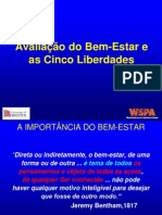 2a Aula Avaliação Do BEA e 5 Liberdades