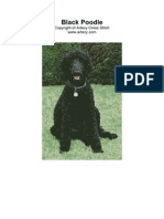 Black Poodle