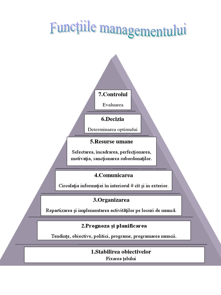 Schema Functiile Managementului | PDF