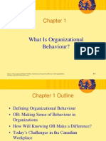 What Is Organizational Behaviour?