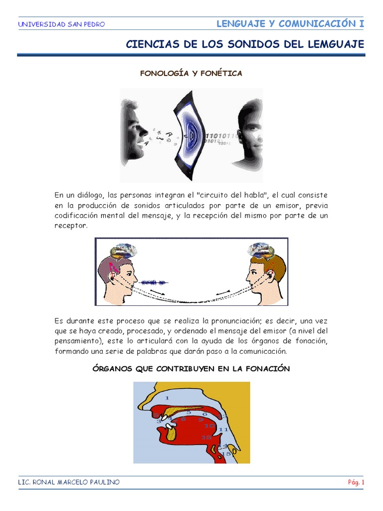 Fonología y Fonética del Lenguaje | PDF | Fonética | Voz humana