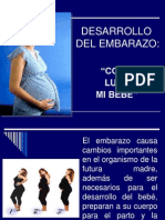 Desaroollo Del Embarazo