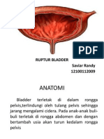 Ruptur Bladder