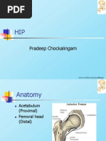 Download Hip by cpradheep SN16896692 doc pdf