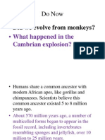 5 Phylogeny and Cladedisticseb