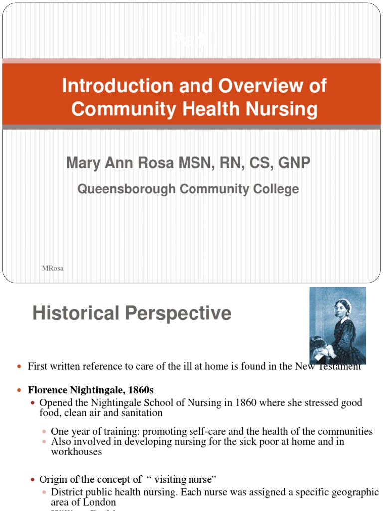 GNP Role in Community Health Nursing | PDF | Preventive Healthcare ...