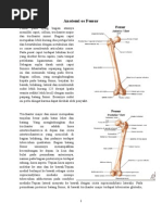 Fraktur Femur