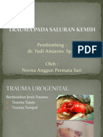 Trauma Urogenitalia