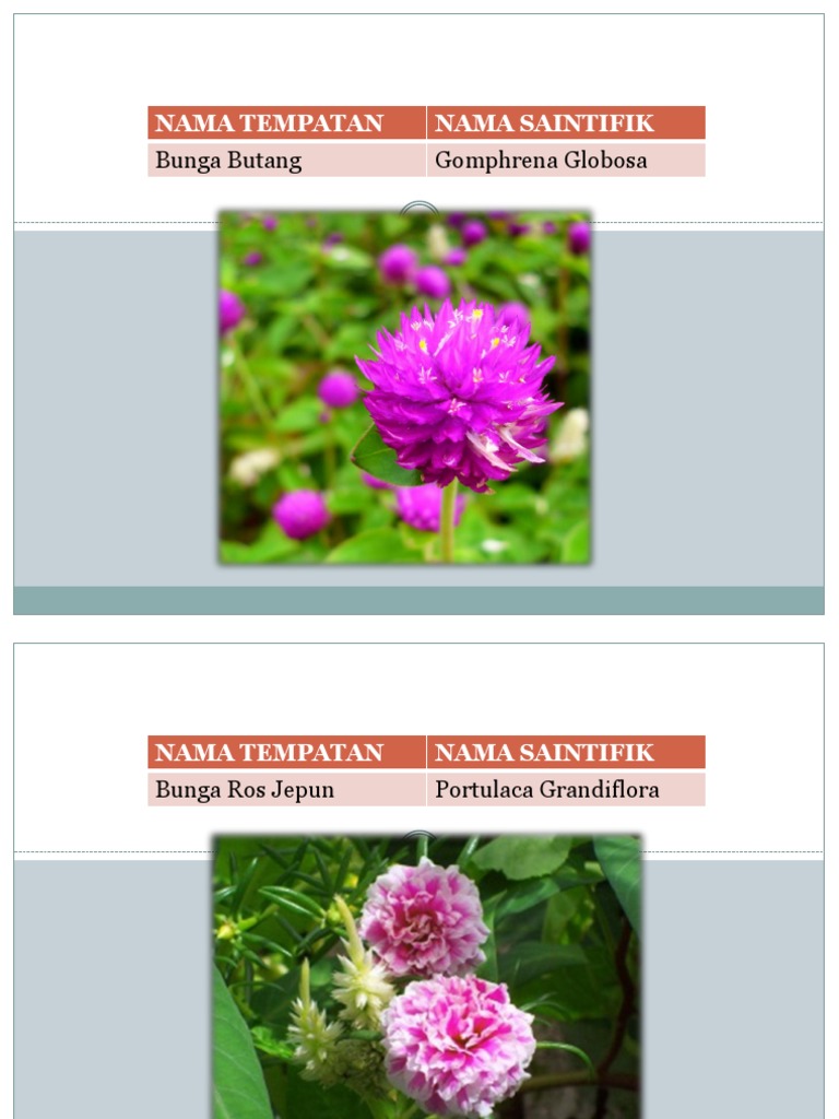 Bunga Taman Sains Pdf