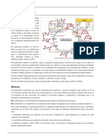 Ciclo de Krebs