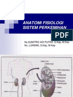 Anatomi Fisiologi Sistem Perkemihan.ppt